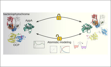 atomistic modeling photoreceptors