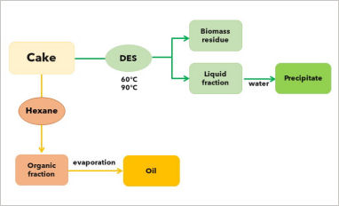 Extraction of proteins and residual oil