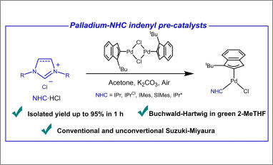 palladium catalysis nhc