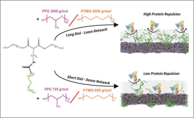 polymer network protein adsor