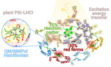 unveiling molecular pathways hotosystem