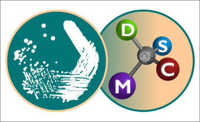 logo progetto dscm410